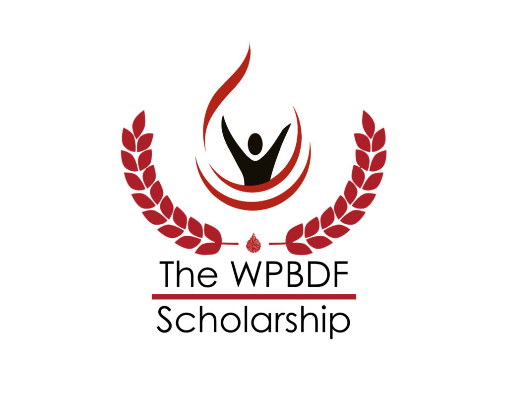 WPBDF-Scholarship-logo-1024x800